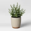 Textured Ceramic Planter Pots White - Opalhouse™ -Opalhouse GUEST 81b3ab19 db4f 409c 9397 ff90f528d623